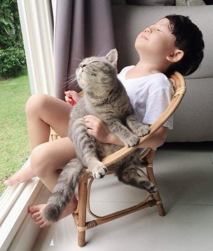 γατες παιδια δεσιμο