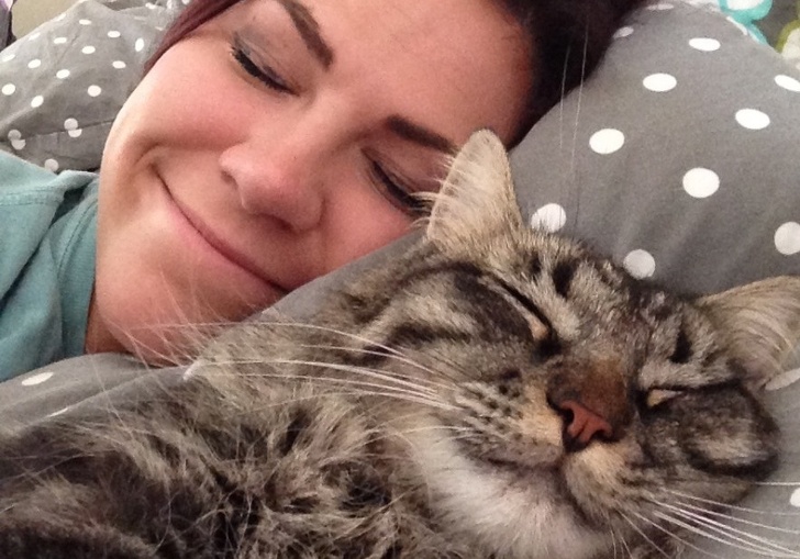 γατα πιστη αγαπη δεσιμο ανθρωπος