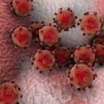 ιος κινα 2020 κορονοιος κοροναιος πως μεταδιδεται συμπτωματα τι ειναι