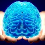 mensa μενσα iq τεστ test τι ειναι ελλαδα