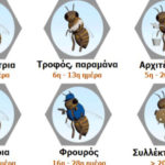 μελισσες απο τι αποτελειται το μελισσι που ζει το σμηνος ποσες μελισσες κυψελη παραγωγη μελιου