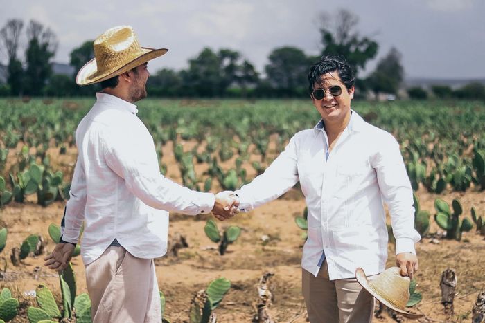 vegan δερμα βιγκαν κακτος παπουτσια τσαντες ρουχα οικολογικο δερμα