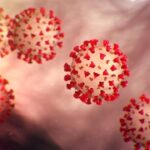 coronavirus-facts-ιος-πανδημια-κορονοιος-γεγονοτα