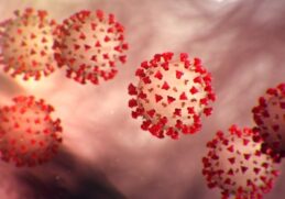 coronavirus-facts-ιος-πανδημια-κορονοιος-γεγονοτα